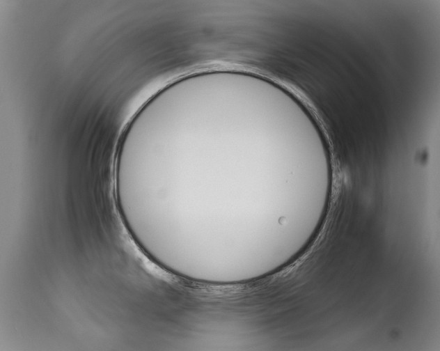 X0000113141294200909040948