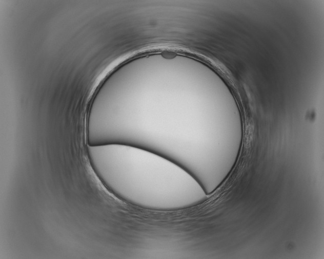 X0000113141295200909040948