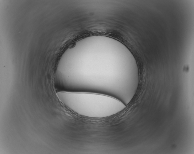X0000113141297200909040947