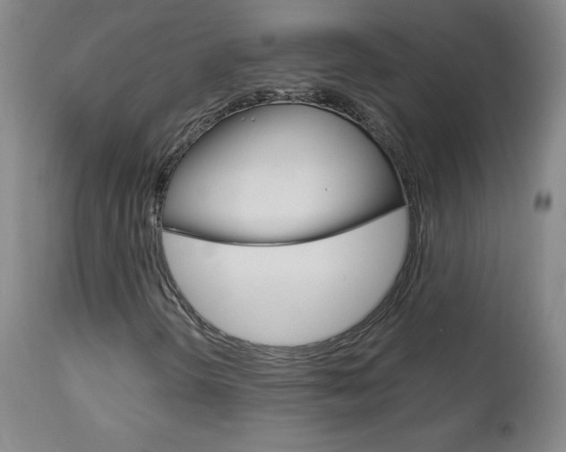 X0000113141298200909040947