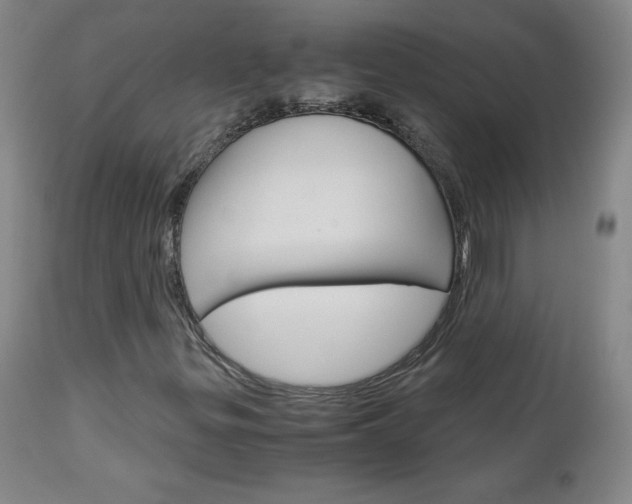 X0000113141299200909040948