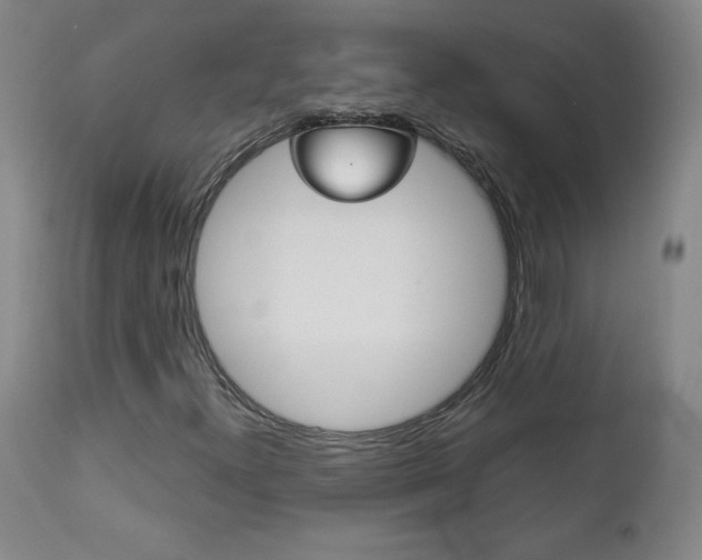 X0000113141300200909040948