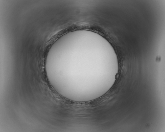 X0000113141301200909040948