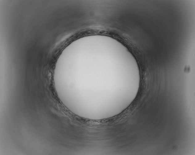 X0000113141302200909040948