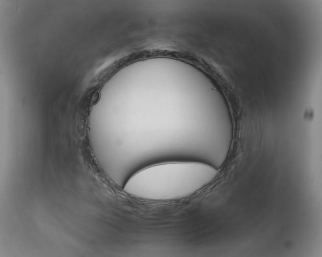 X0000113141303200909040948