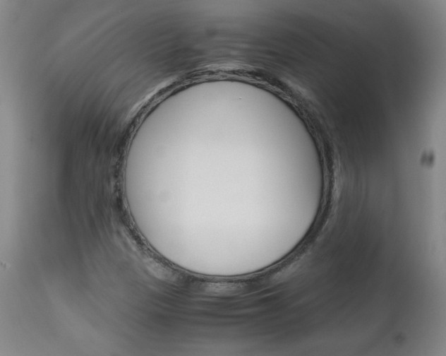 X0000113141305200909040948