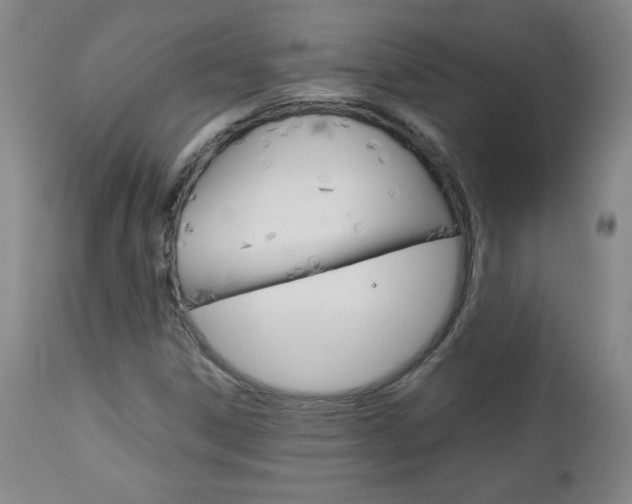 X0000113141306200909040948