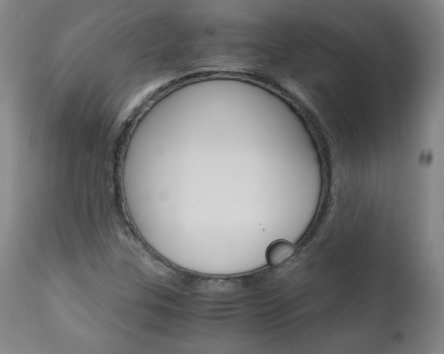 X0000113141307200909040948