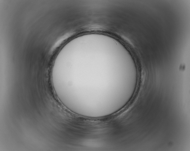 X0000113141309200909040948