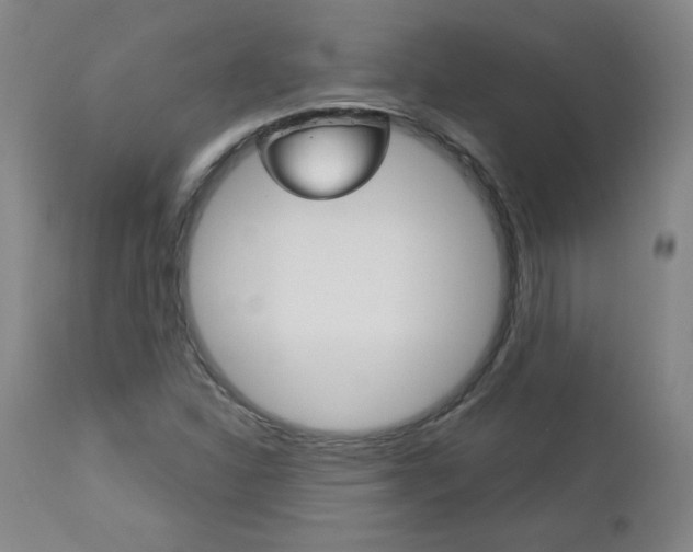 X0000113141310200909040948