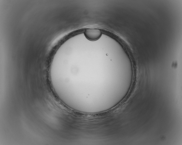 X0000113141311200909040948