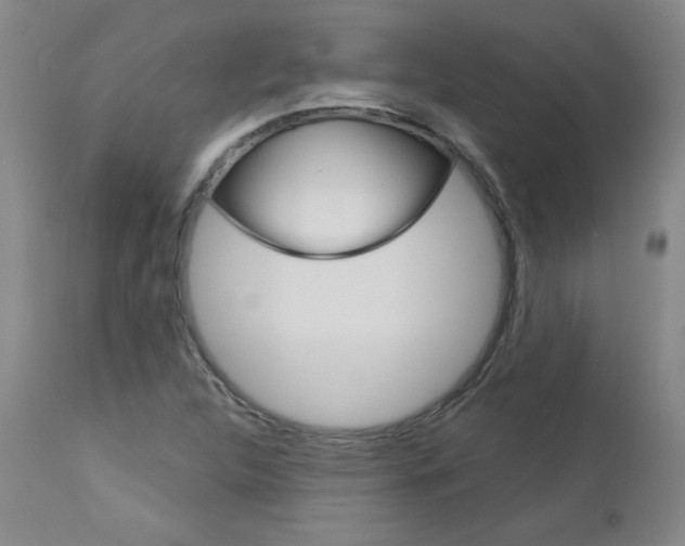 X0000113141312200909040948