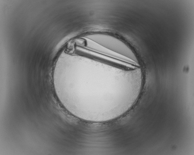 X0000113141314200909040948