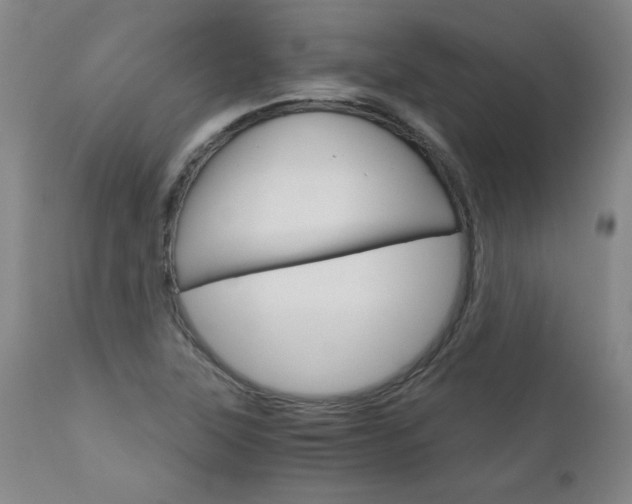 X0000113141315200909040948