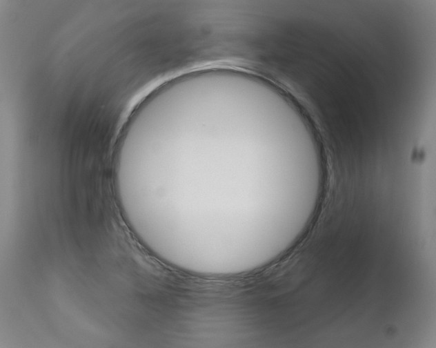 X0000113141316200909040948