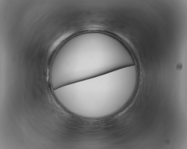 X0000113141317200909040948