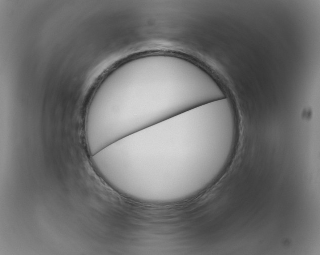 X0000113141318200909040948