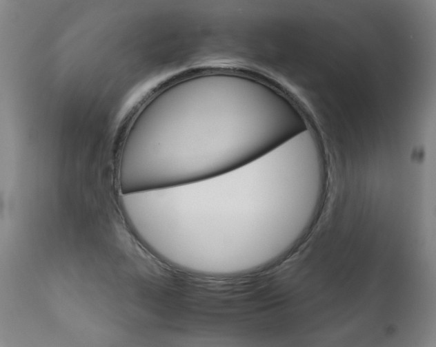 X0000113141319200909040948