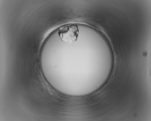X0000113141320200909040948
