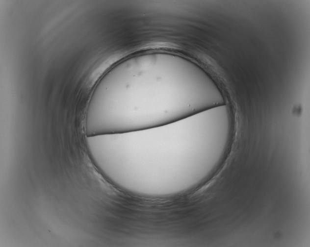 X0000113141321200909040948