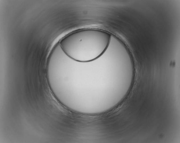 X0000113141324200909040948