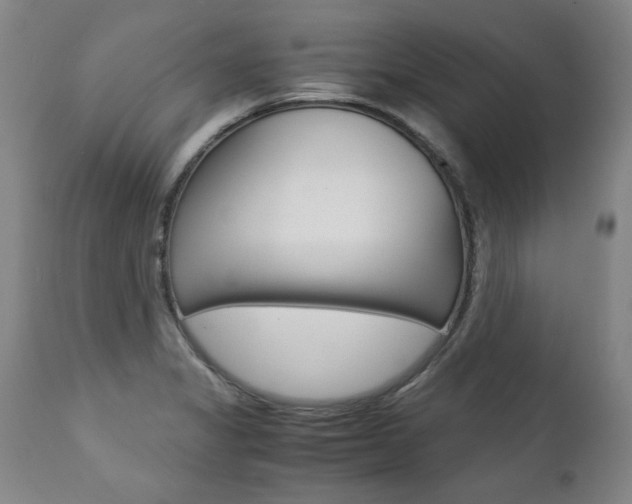 X0000113141325200909040948