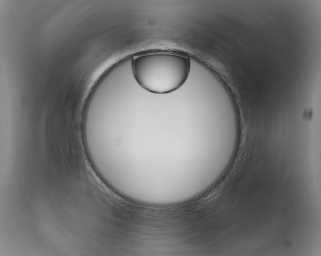 X0000113141326200909040948