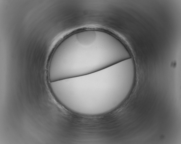 X0000113141327200909040948