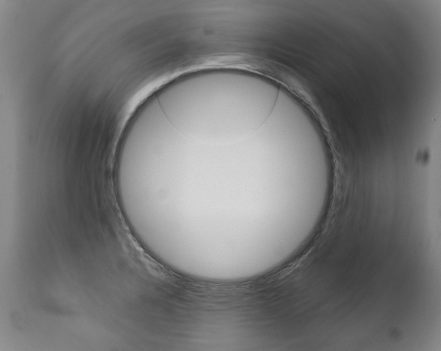 X0000113141328200909040948