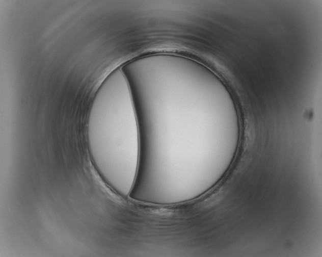 X0000113141329200909040948
