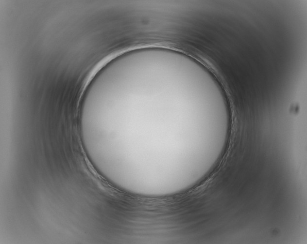 X0000113141332200909040948