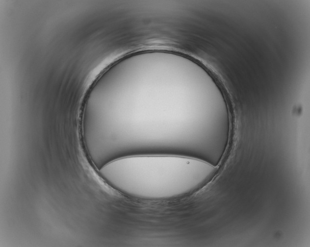 X0000113141333200909040948