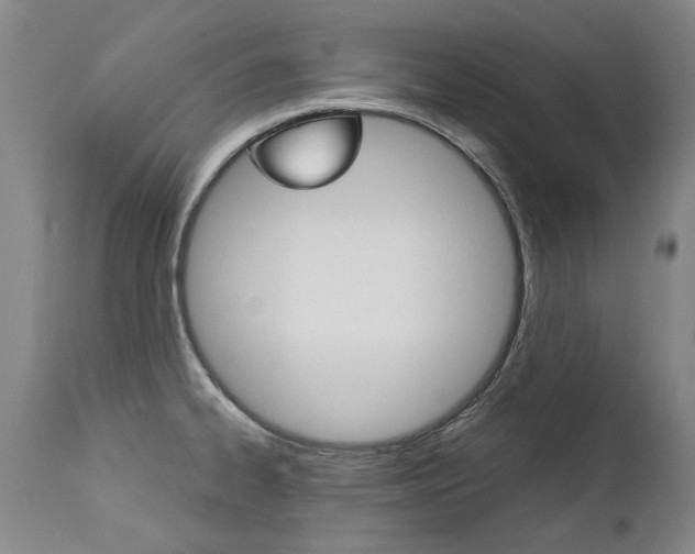 X0000113141334200909040948