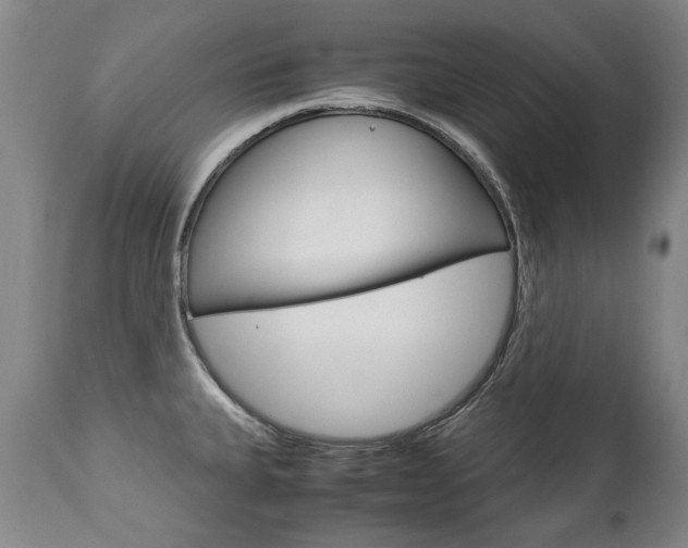 X0000113141335200909040948