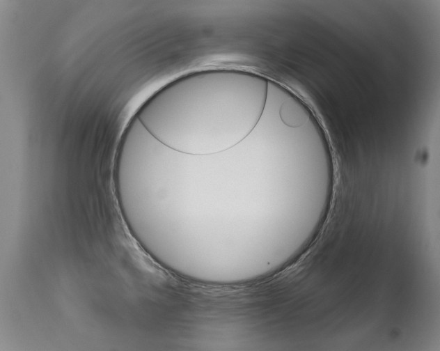 X0000113141336200909040948