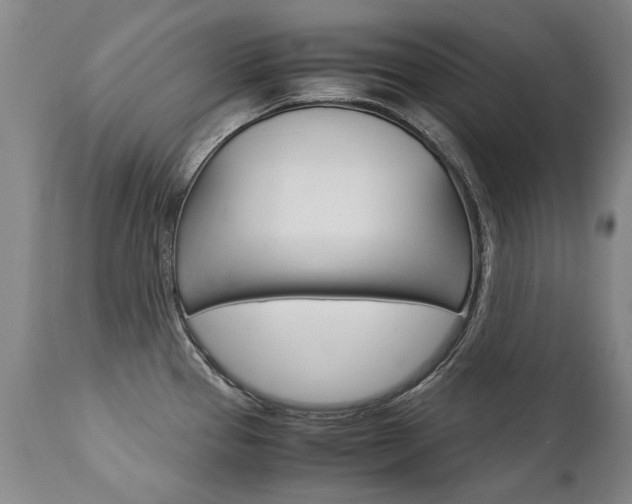 X0000113141337200909040948