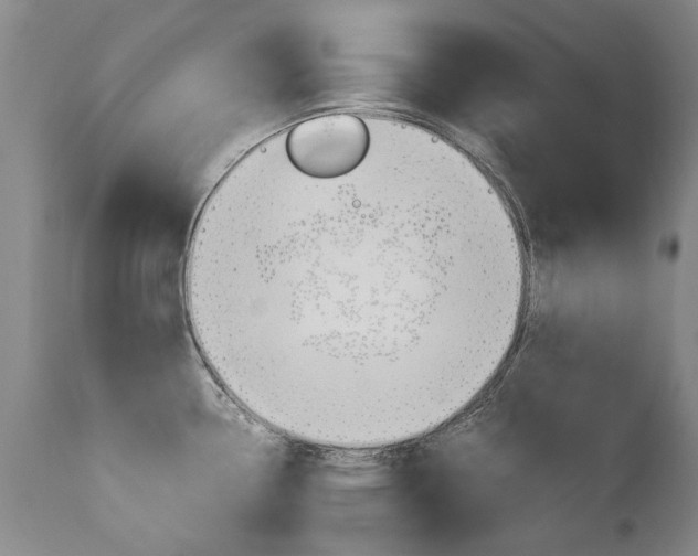 X0000113141338200909040948