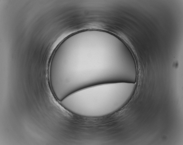 X0000113141339200909040948