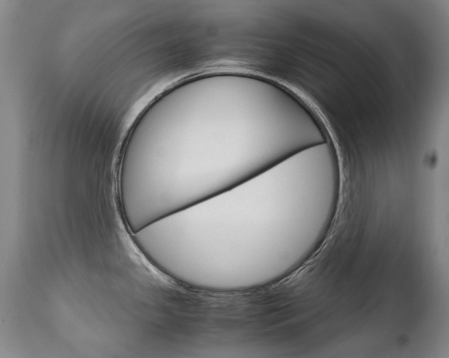 X0000113141341200909040948