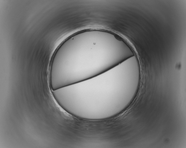 X0000113141343200909040948