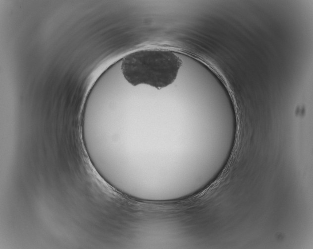 X0000113141344200909040948