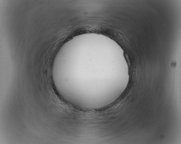 X0000113141345200909040947