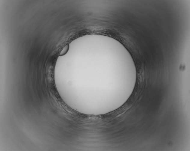X0000113141346200909040947