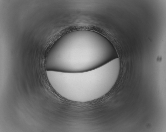 X0000113141348200909040947