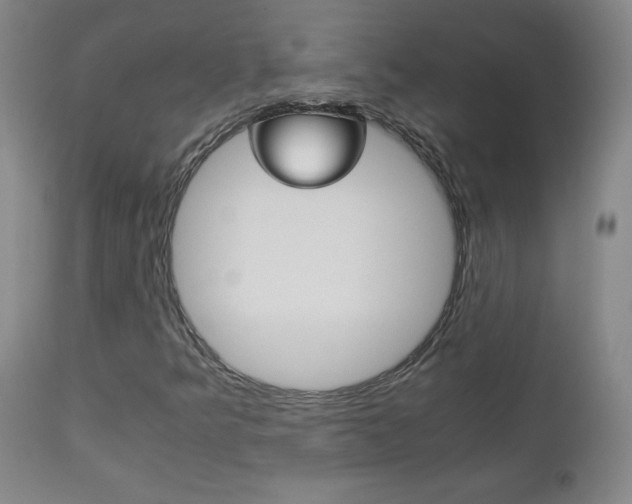 X0000113141349200909040947