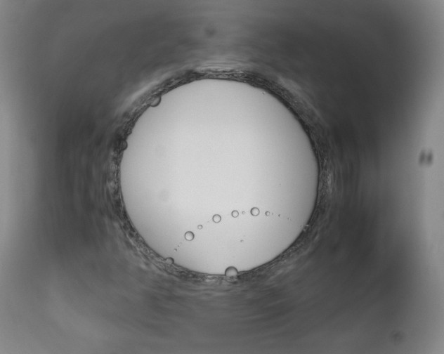 X0000113141350200909040947