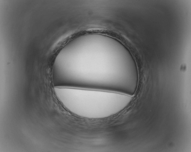 X0000113141351200909040947