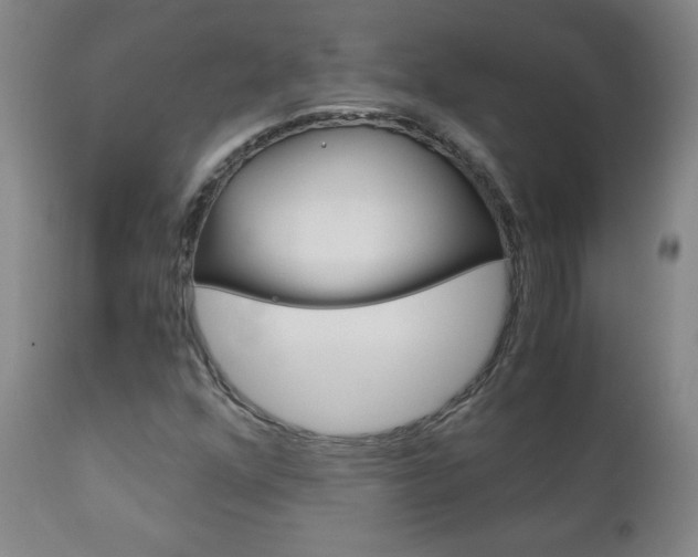 X0000113141352200909040947