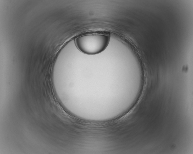 X0000113141353200909040947