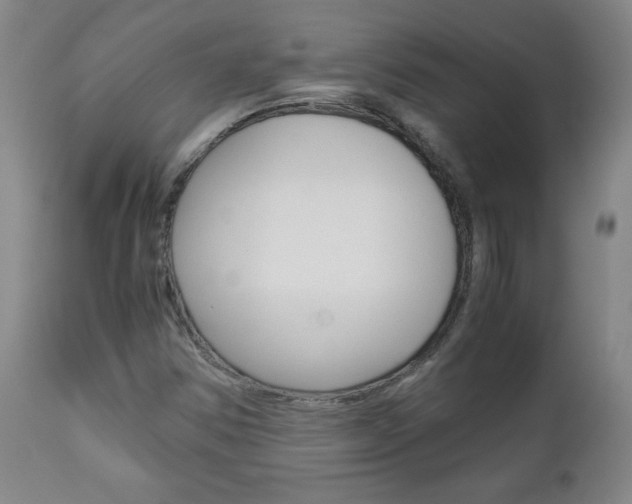 X0000113141354200909040947